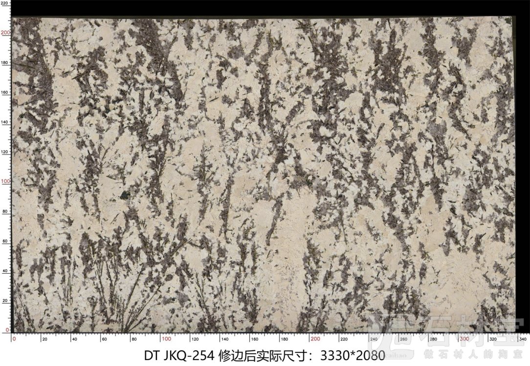 金孔雀 JKQ-254