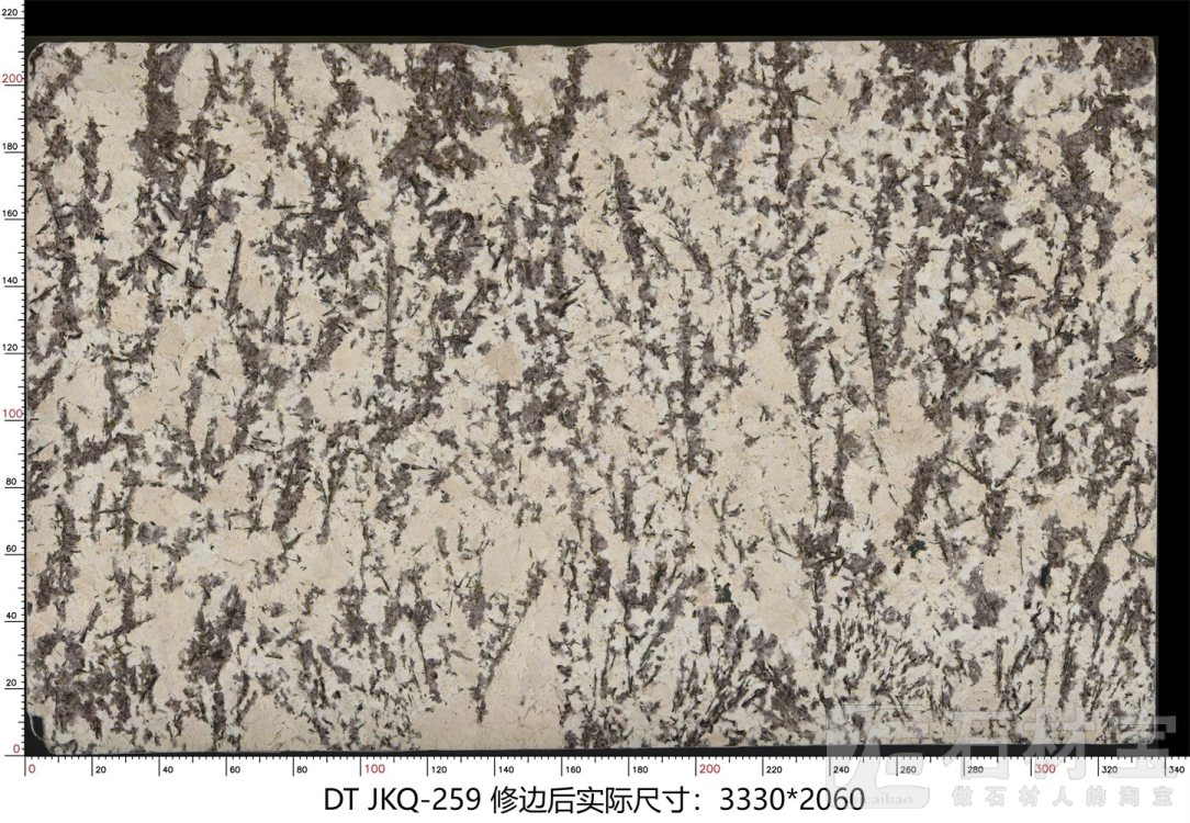 金孔雀 JKQ-259