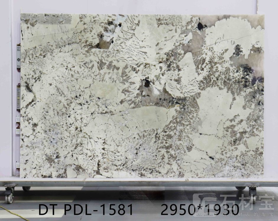 潘多拉 PDL-1581
