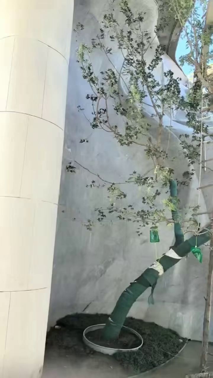 海蓝宝