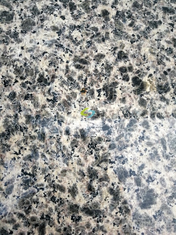 豹皮花