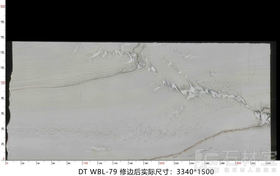 万宝龙 WBL-79