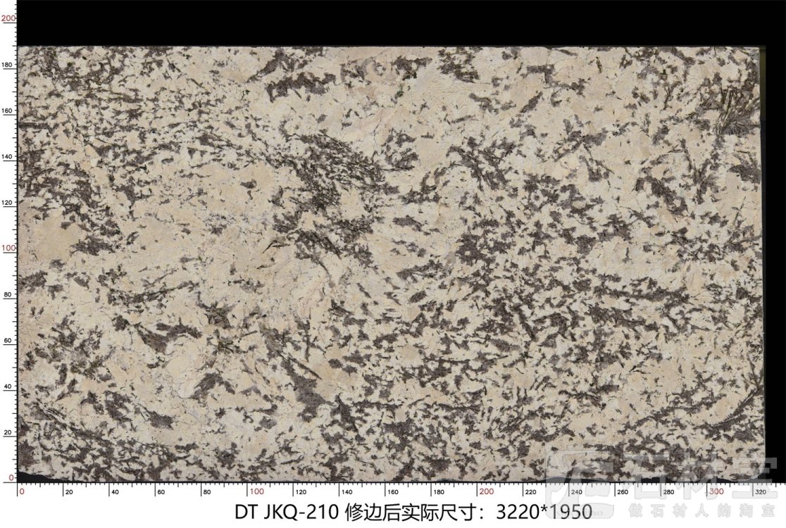 金孔雀 JKQ-210
