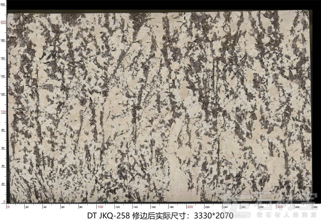 金孔雀 JKQ-258