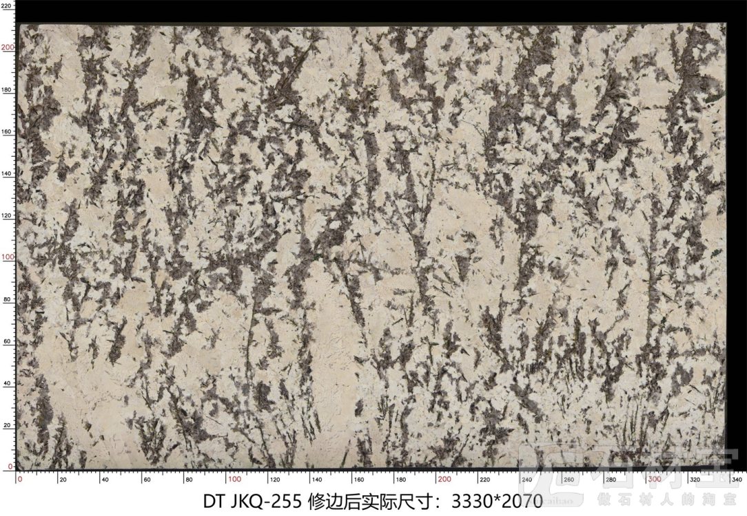 金孔雀 JKQ-255
