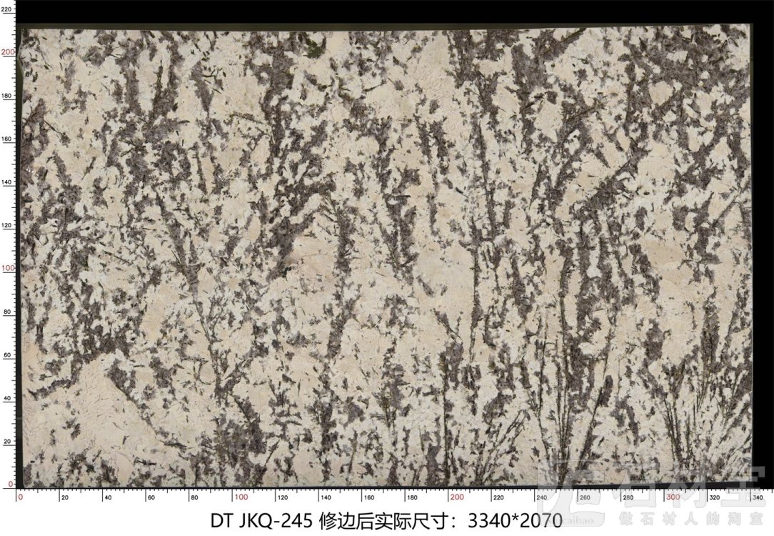 金孔雀 JKQ-245