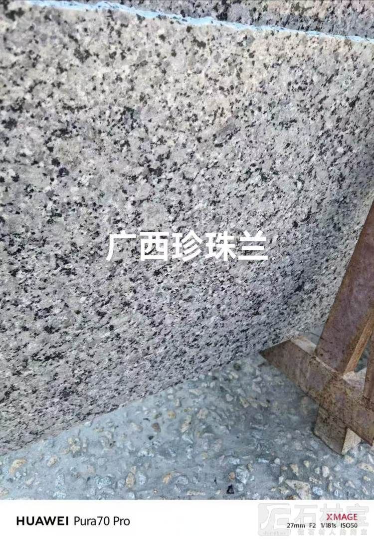 广西珍珠兰