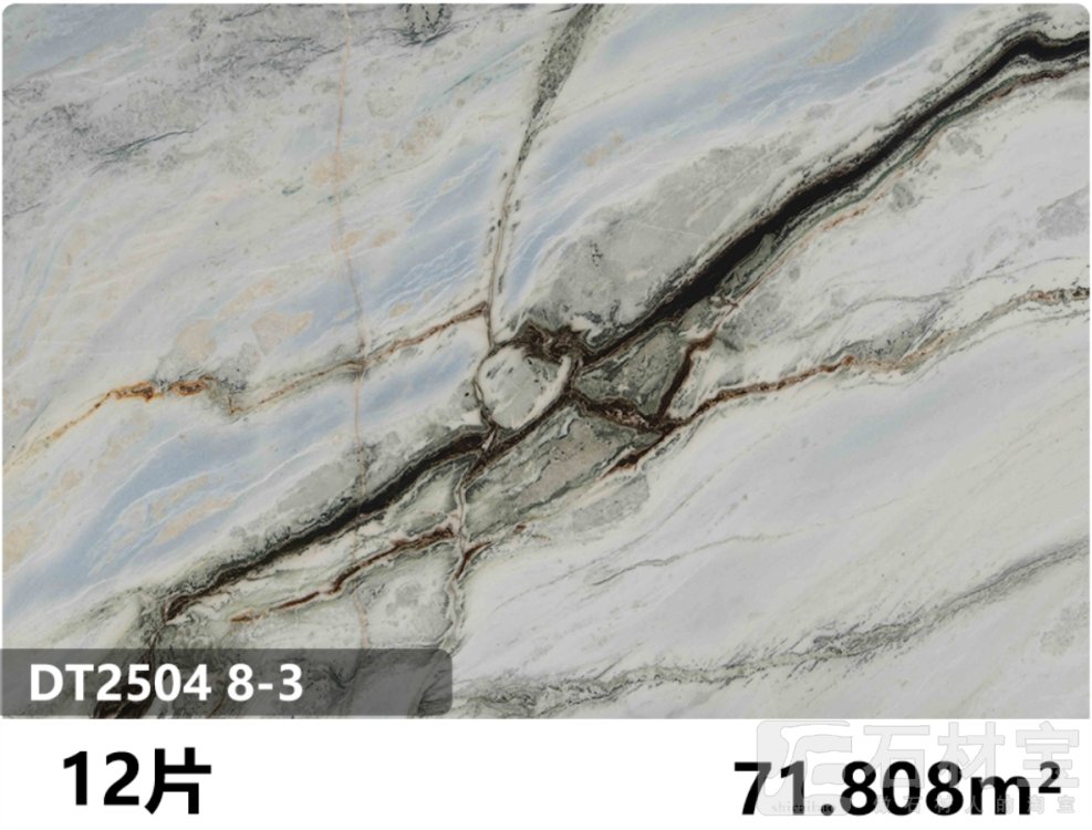 熊猫白 DT2504 8-3