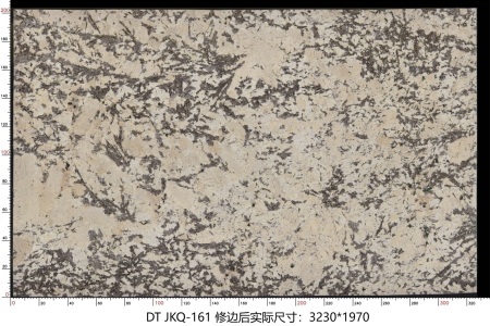 金孔雀 JKQ-161