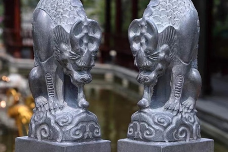 吸水兽