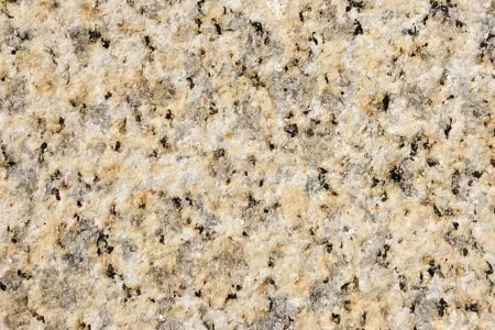 黄金麻火烧面