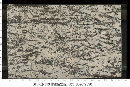 金孔雀 JKQ-319
