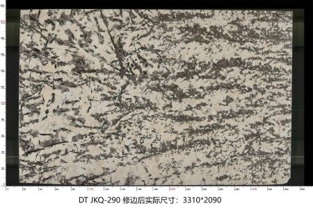 金孔雀 JKQ-290