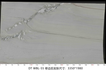 万宝龙 WBL-55