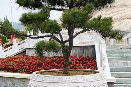 石雕花钵