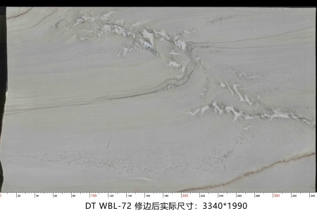 万宝龙 WBL-72