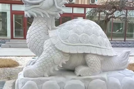 石雕龙龟