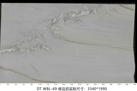 万宝龙 WBL-69