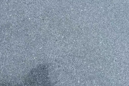 廉江芝麻黑