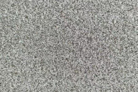 山东芝麻黑/章丘黑