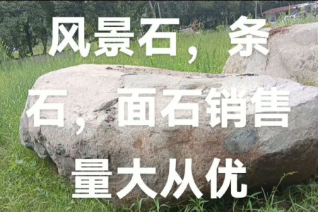 风景石