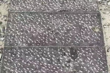 青石菠萝面