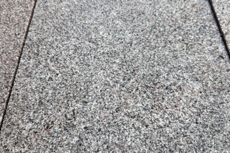 山东芝麻灰荔枝面