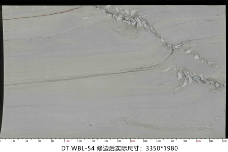 万宝龙 WBL-54
