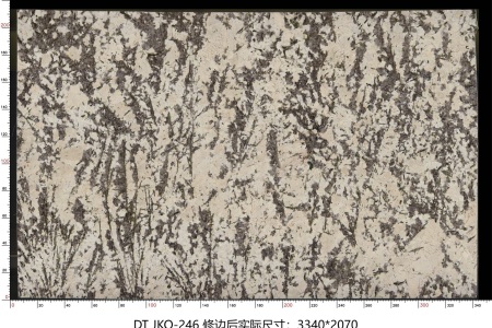 金孔雀 JKQ-246