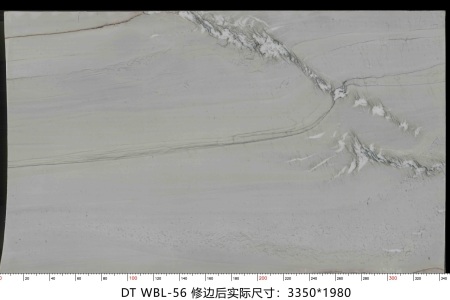 万宝龙 WBL-56