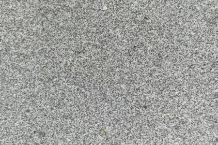 山东芝麻黑/章丘黑