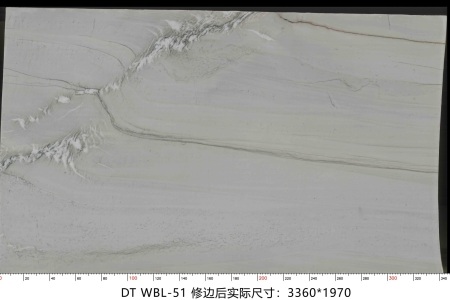 万宝龙 WBL-51