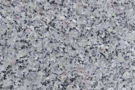 广西珍珠兰（紫兰花）