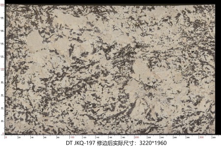 金孔雀 JKQ-197