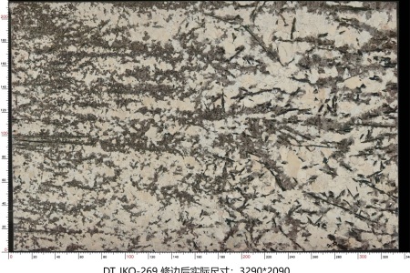 金孔雀 JKQ-269