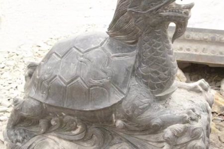 石雕龙龟