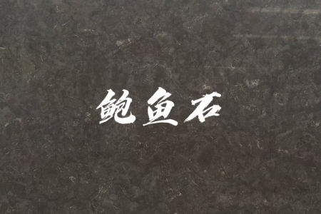 鲍鱼石