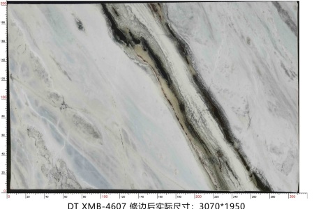 熊猫白 XMB-4607