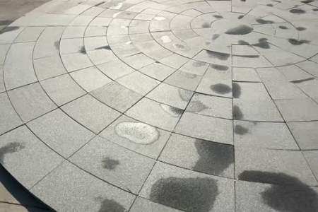 滨州青