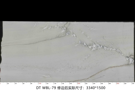 万宝龙 WBL-79