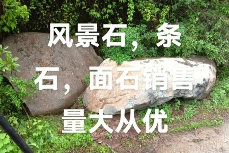 风景石