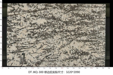 金孔雀 JKQ-300