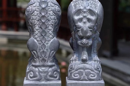 吸水兽