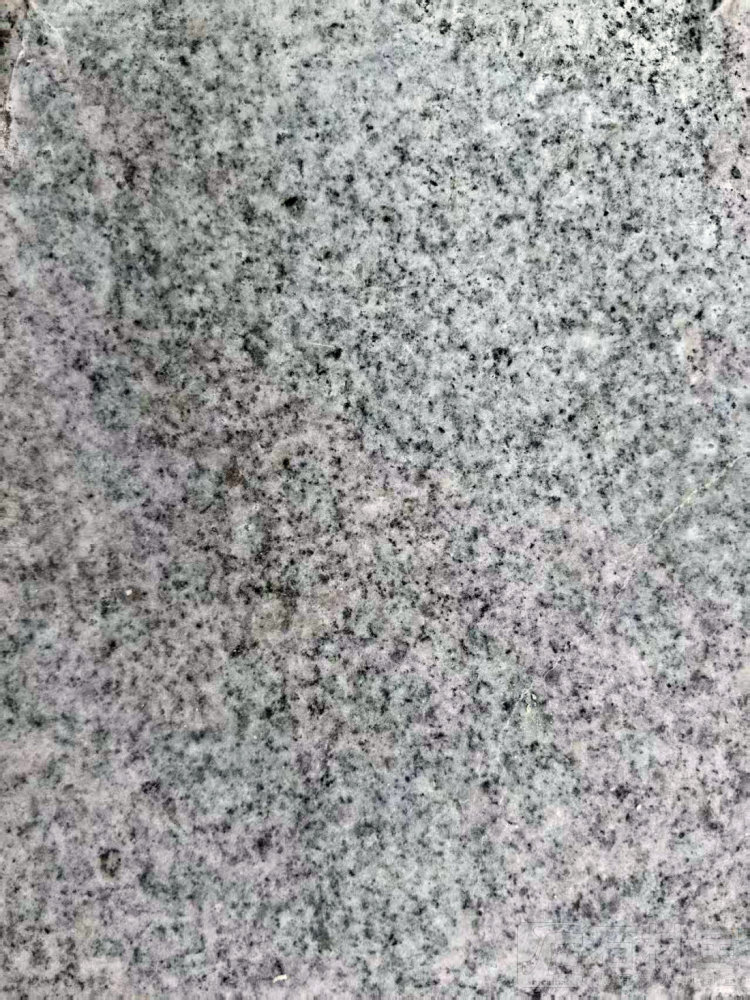 芝麻灰机切面