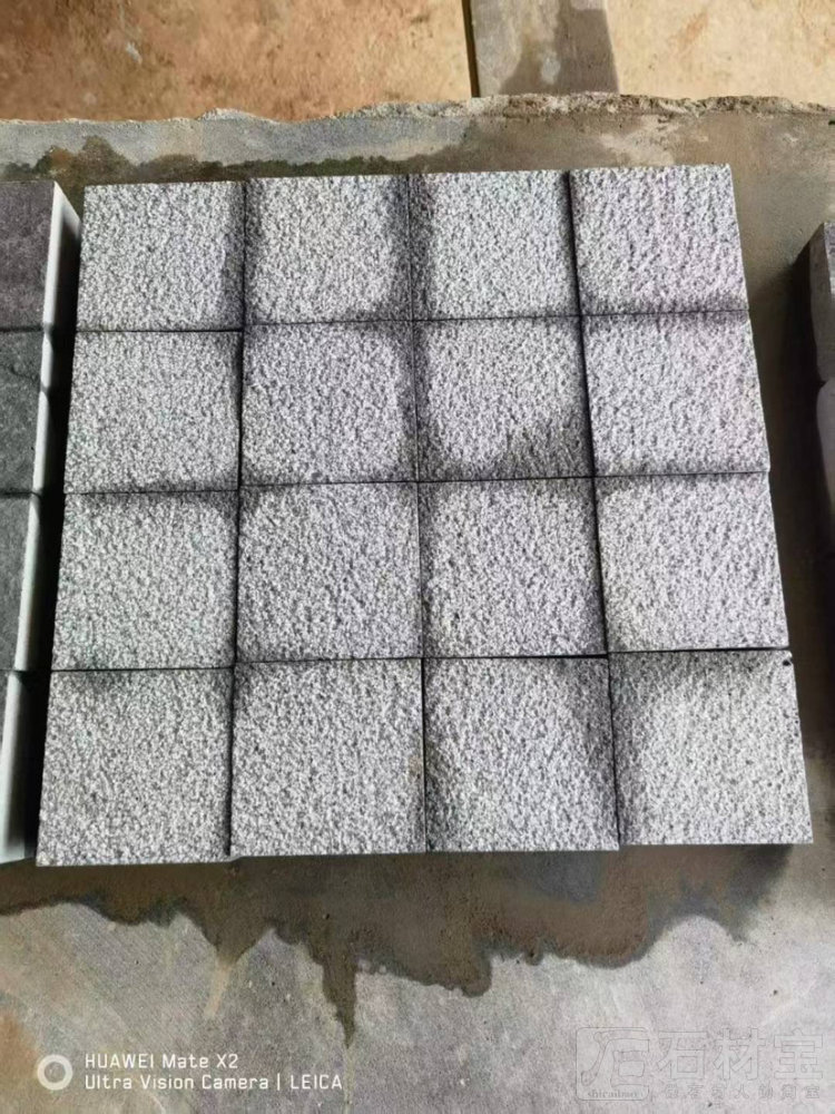 中国黑荔枝面
