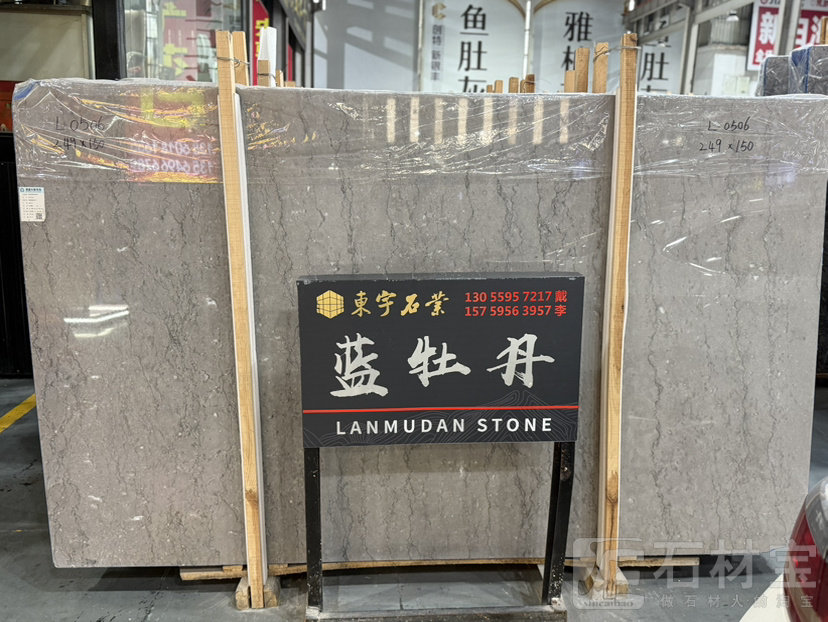 蓝牡丹