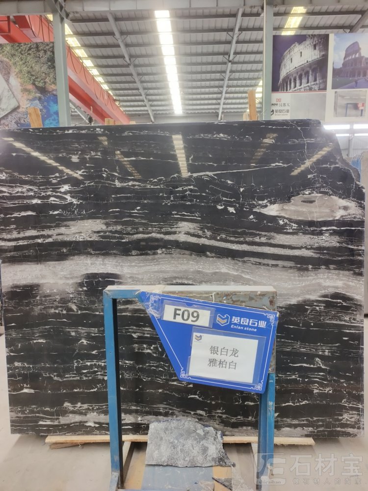 银白龙