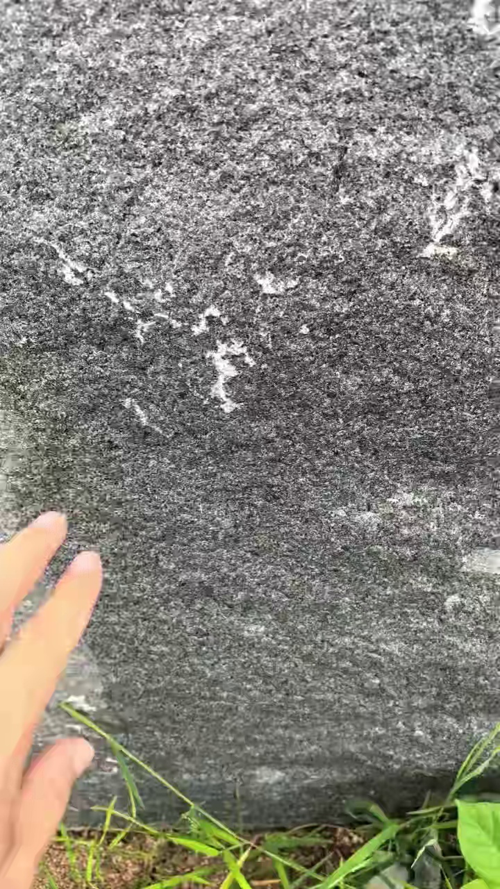 中国黑