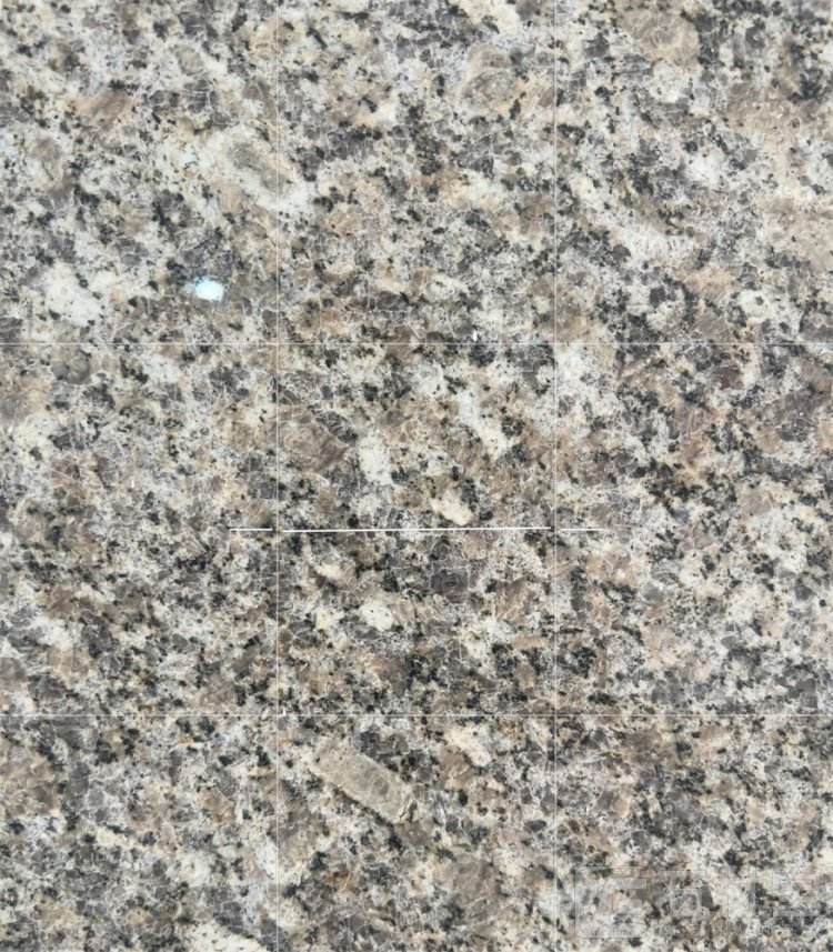 福海灰麻