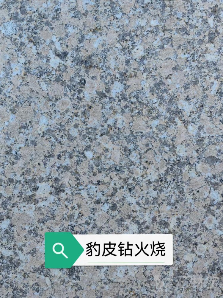 豹皮钻火烧